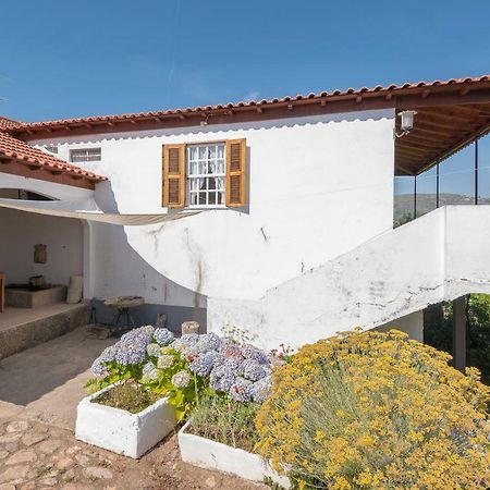 Quinta Do Acipreste Lamego Ngoại thất bức ảnh