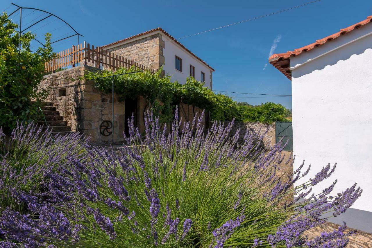 Quinta Do Acipreste Lamego Ngoại thất bức ảnh