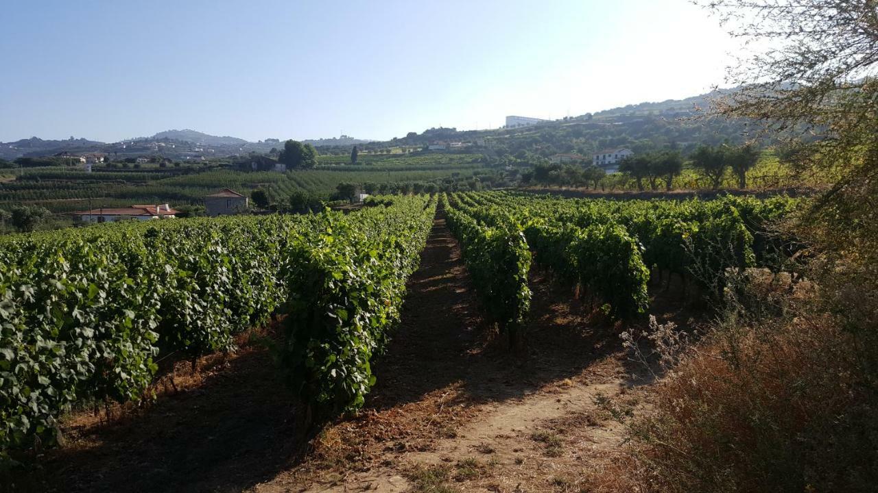 Quinta Do Acipreste Lamego Ngoại thất bức ảnh