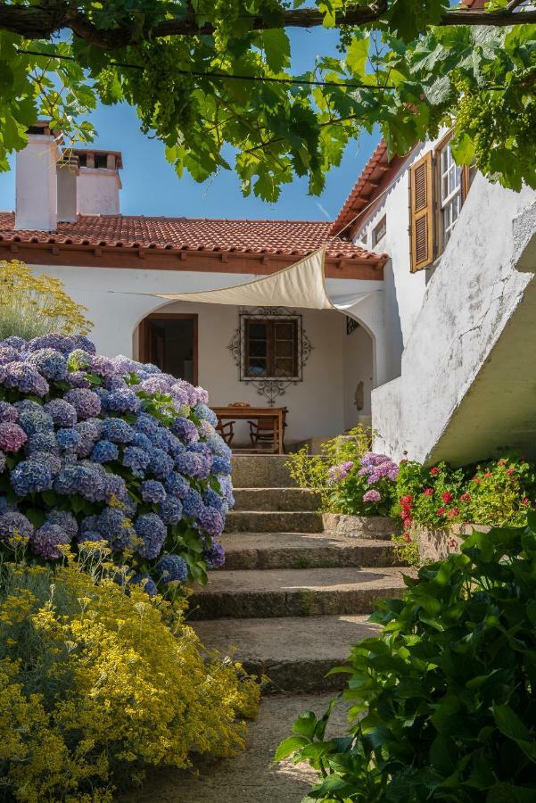 Quinta Do Acipreste Lamego Ngoại thất bức ảnh
