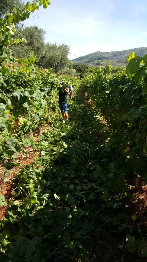 Quinta Do Acipreste Lamego Ngoại thất bức ảnh
