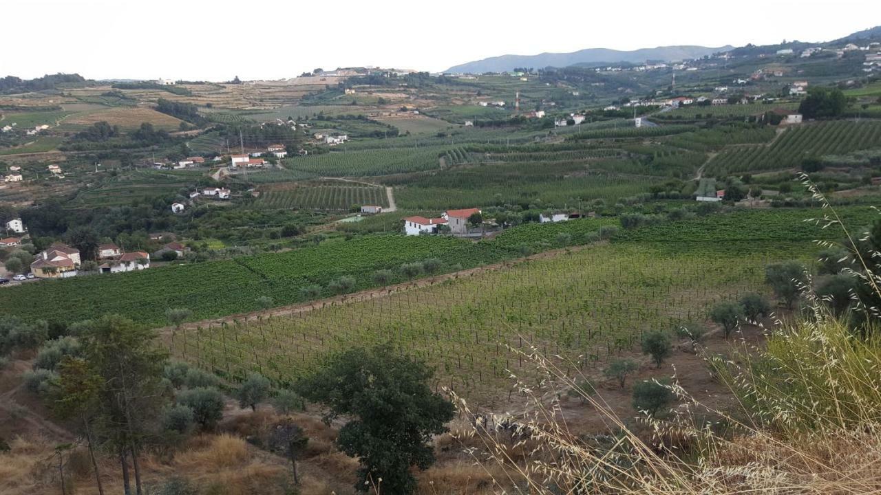 Quinta Do Acipreste Lamego Ngoại thất bức ảnh